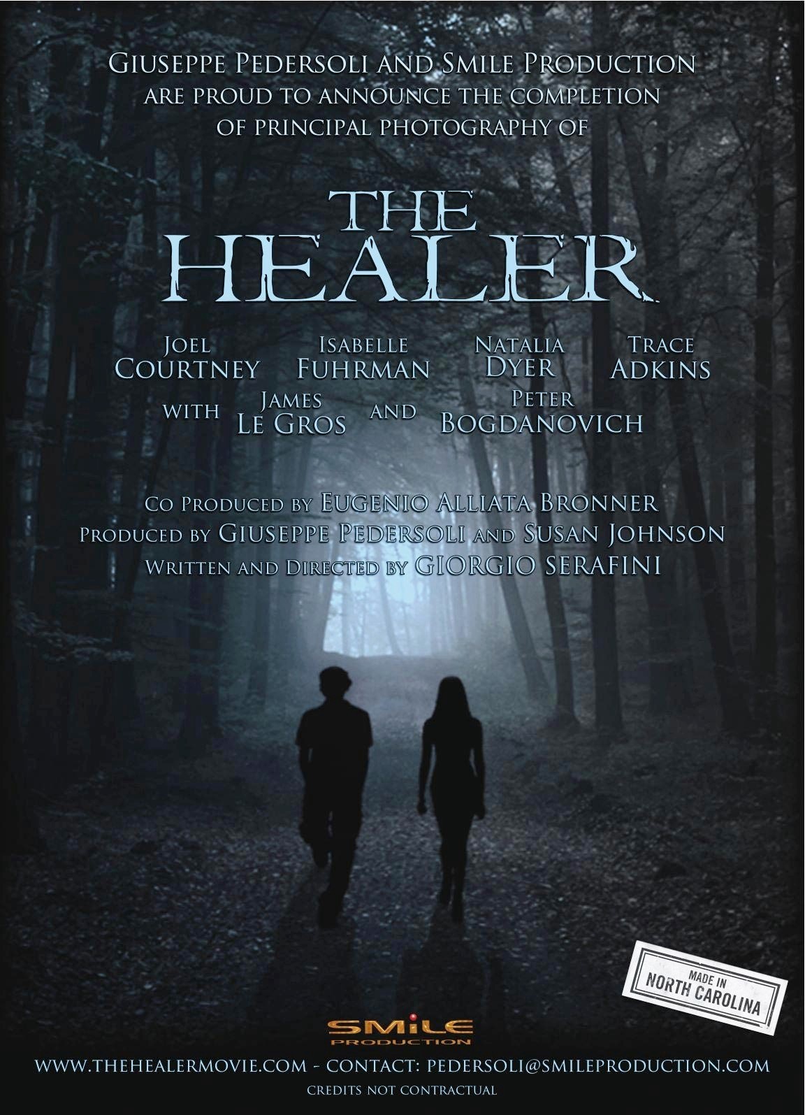The Healer (2016)
