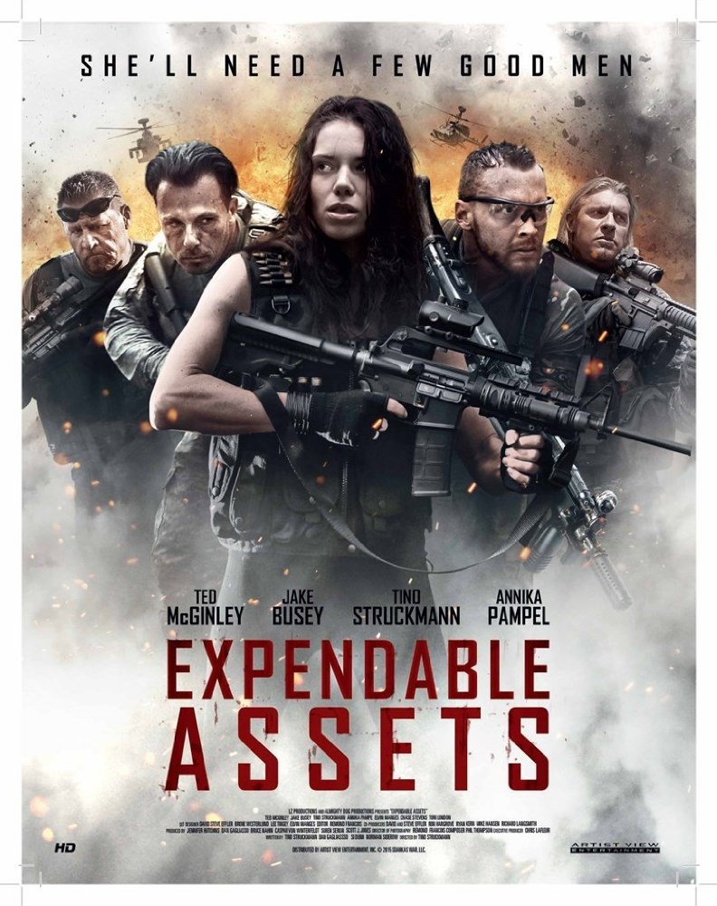 Expendable Assets (2016)