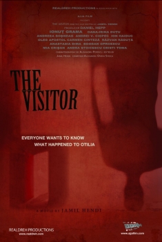 The Visitor (2016)