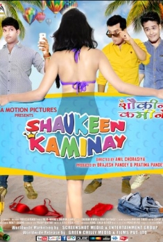 Shaukeen Kaminay (2016)