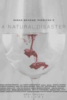 A Natural Disaster (2016)