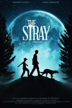 The Stray (2017)