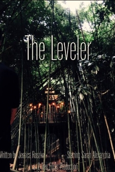 The Leveler (2017)