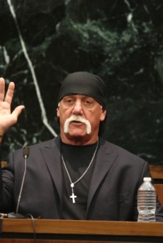 Nobody Speak: Hulk Hogan, Gawker and Trials of a Free Press (2017)