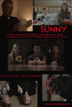 Sunny (2017)