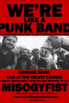 We're Like a Punk Band (2017)