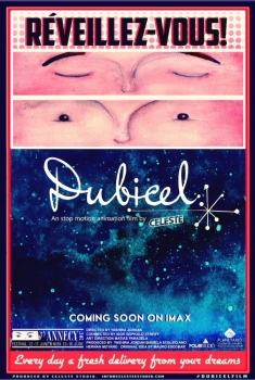 Dubicel (2017)