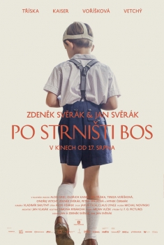 Po strnisti bos (2017)