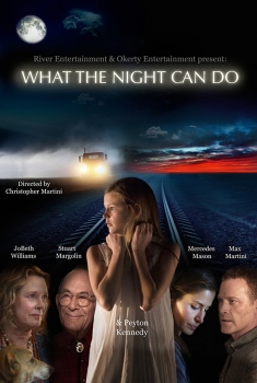 What the Night Can Do (2017)