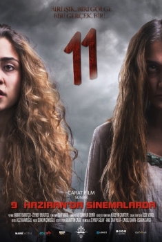 11 (2017)