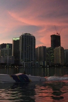 Miami Rogue (2017)