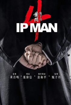 Yip Man 4 (2018)