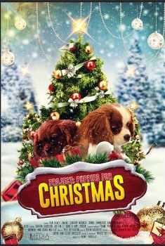 Project: Puppies for Christmas (2017)